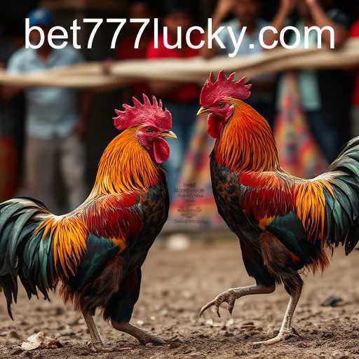 Cockfighting